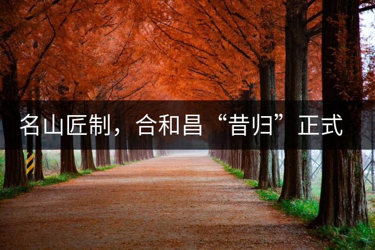 名山匠制，合和昌“昔歸”正式上市