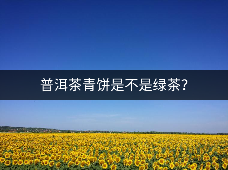 普洱茶青餅是不是綠茶? 普洱茶青餅是不是綠茶?