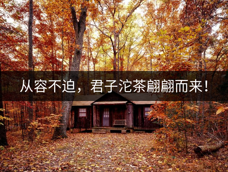 從容不迫，君子沱茶翩翩而來！