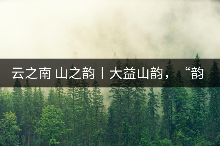 云之南 山之韻丨大益山韻,“韻”味傳奇之山韻歸來 云之南 山之韻丨大益山韻,“韻”味傳奇之山韻歸來