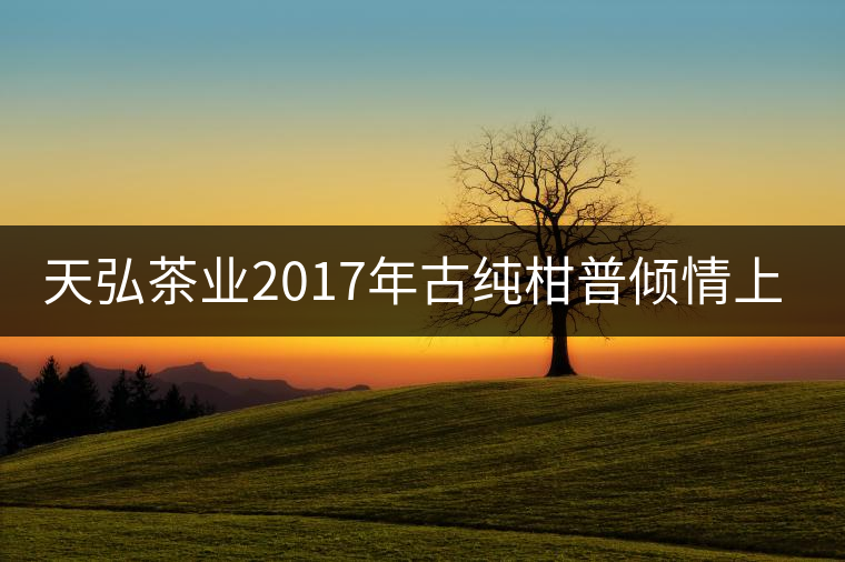 天弘茶業2017年古純柑普傾情上市