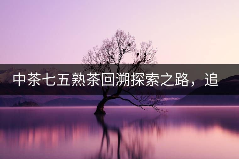 中茶七五熟茶回溯探索之路，追尋歷史印跡