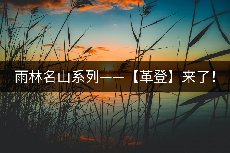 雨林名山系列——【革登】來了! 雨林名山系列——【革登】來了!