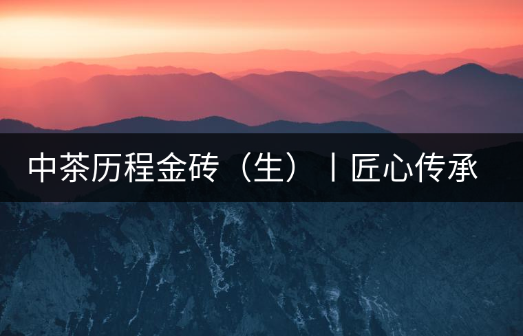 中茶歷程金磚（生）丨匠心傳承，精品迭出