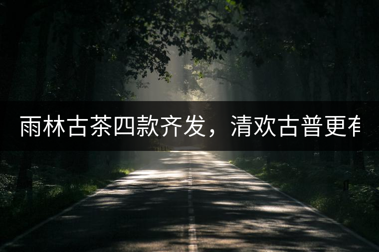 雨林古茶四款齊發(fā)，清歡古普更有味！
