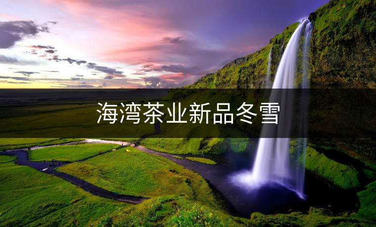 海灣茶業新品冬雪