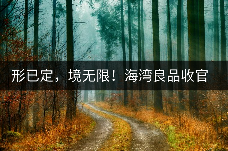 形已定，境無(wú)限！海灣良品收官季『良禪品』