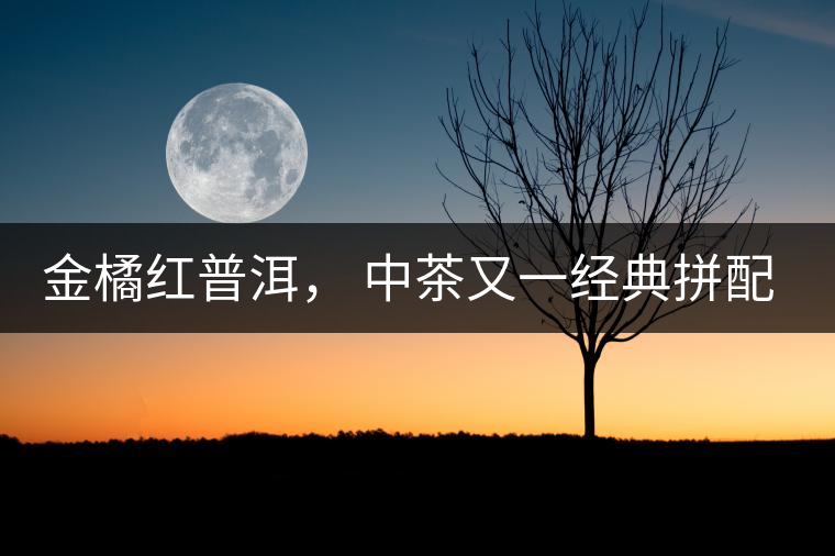 金橘紅普洱， 中茶又一經典拼配力作，值得期待！