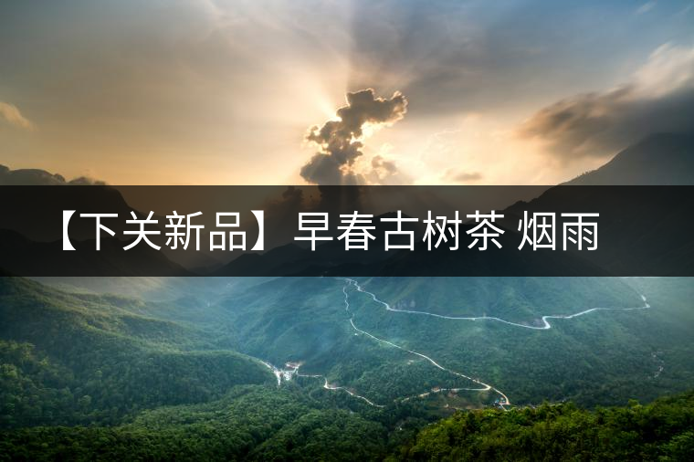 【下關新品】早春古樹茶 煙雨意濃濃 【下關新品】早春古樹茶 煙雨意濃濃