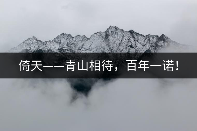 倚天——青山相待,百年一諾! 倚天——青山相待,百年一諾!