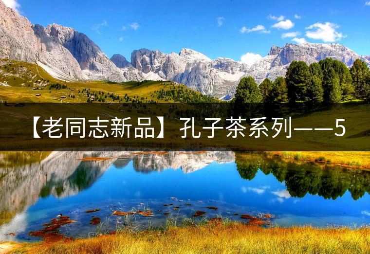 【老同志新品】孔子茶系列——55.1克九宮格紀(jì)念熟磚