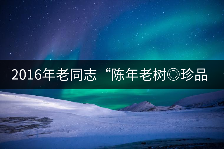 2016年老同志“陳年老樹◎珍品普洱”隆重上市！