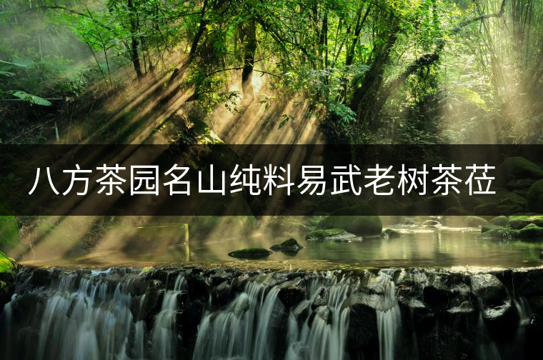 八方茶園名山純料易武老樹茶蒞臨 八方茶園名山純料易武老樹茶蒞臨