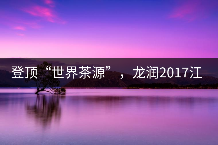 登頂“世界茶源”，龍潤2017江城茶上市啦！