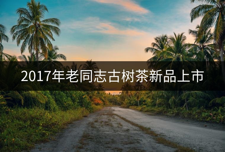 2017年老同志古樹茶新品上市 2017年老同志古樹茶新品上市