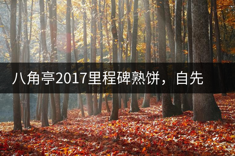 八角亭2017里程碑熟餅,自先發酵而后愛人 八角亭2017里程碑熟餅,自先發酵而后愛人
