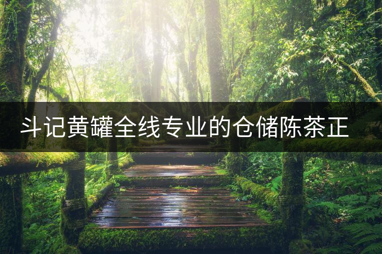 斗記黃罐全線專業(yè)的倉儲(chǔ)陳茶正式上市 斗記黃罐全線專業(yè)的倉儲(chǔ)陳茶正式上市