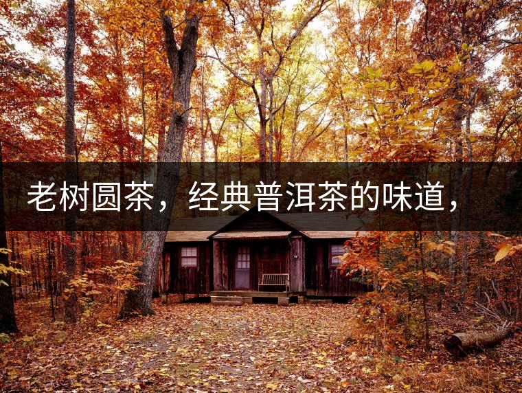 老樹圓茶，經典普洱茶的味道，即將上市