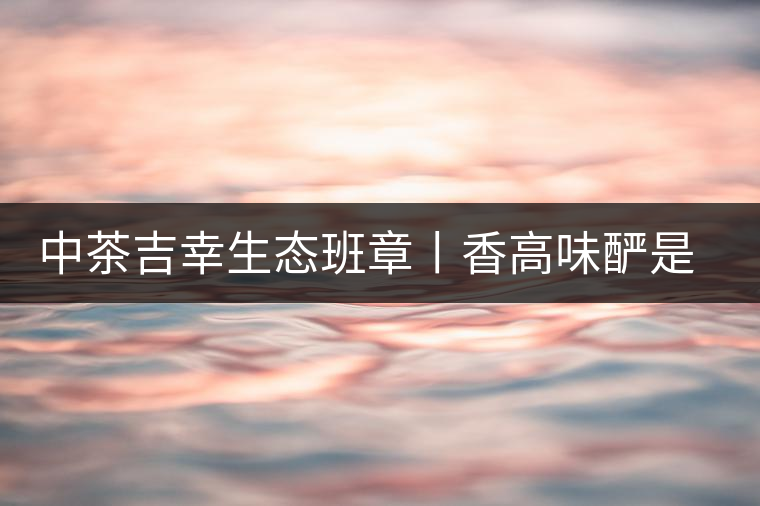 中茶吉幸生態班章丨香高味釅是王者，且品且珍惜