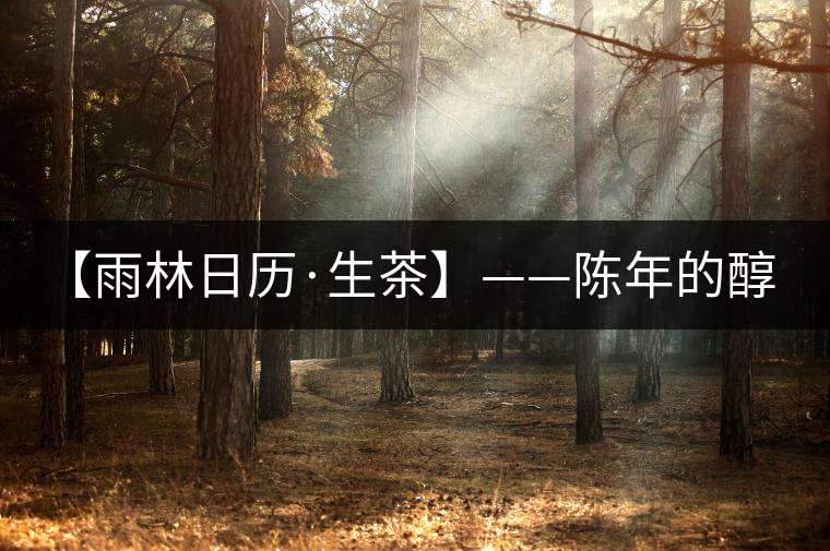 【雨林日歷·生茶】——陳年的醇,老料的香! 【雨林日歷·生茶】——陳年的醇,老料的香!