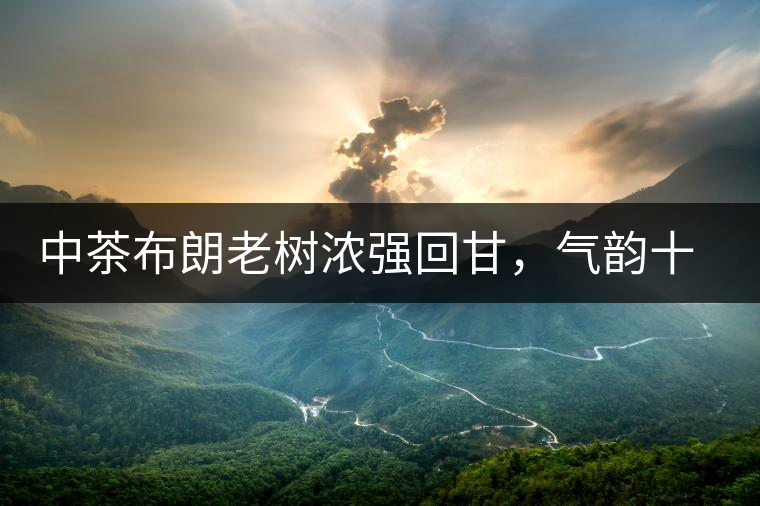 中茶布朗老樹濃強回甘,氣韻十足 中茶布朗老樹濃強回甘,氣韻十足