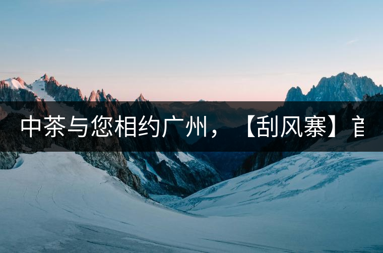 中茶與您相約廣州，【刮風寨】首次亮相！