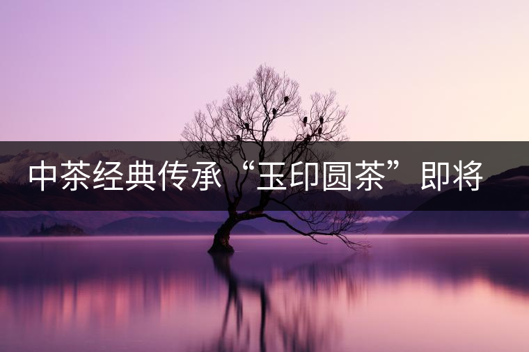 中茶經典傳承“玉印圓茶”即將上市