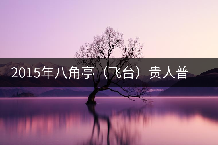 2015年八角亭(飛臺)貴人普洱茶生茶上市 2015年八角亭(飛臺)貴人普洱茶生茶上市