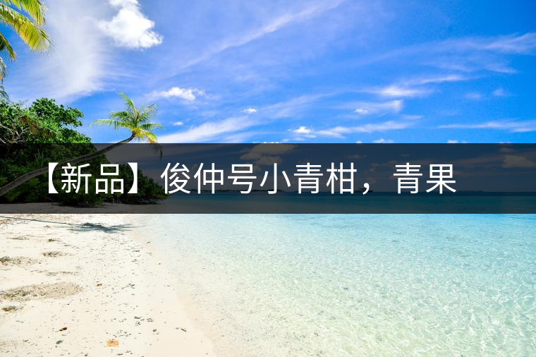 【新品】俊仲號小青柑，青果來傾城