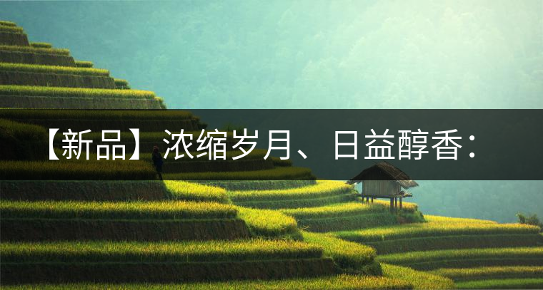 【新品】濃縮歲月、日益醇香：陳臻號陳品熟餅即將上市！