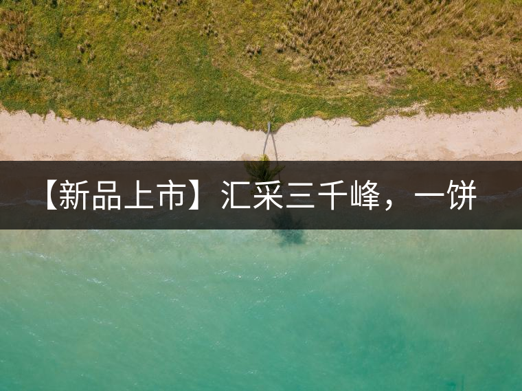 【新品上市】匯采三千峰,一餅群山鑄——群峰之峻! 【新品上市】匯采三千峰,一餅群山鑄——群峰之峻!