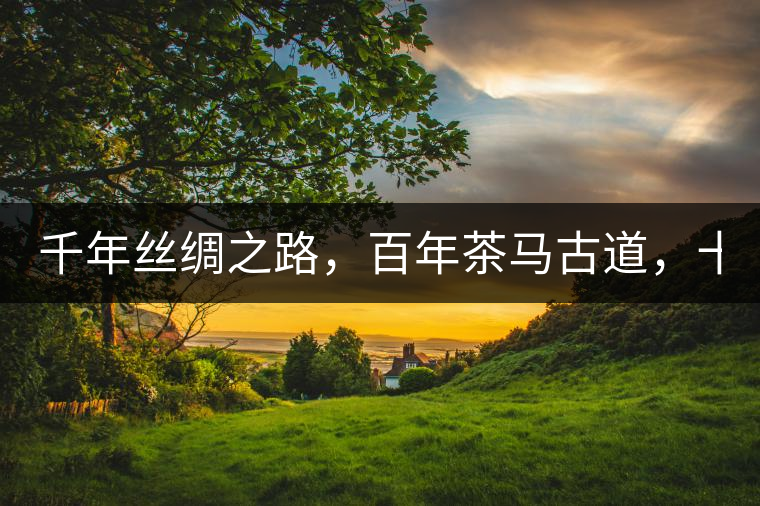 千年絲綢之路,百年茶馬古道,十年尋茶之旅,鑄造Puertea(十年紀念茶) 千年絲綢之路,百年茶馬古道,十年尋茶之旅,鑄造Puertea(十年紀念茶)