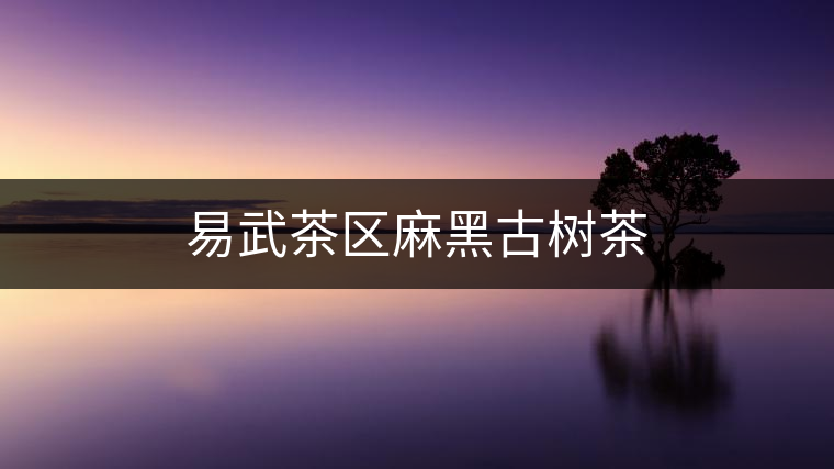 易武茶區(qū)麻黑古樹(shù)茶 易武茶區(qū)麻黑古樹(shù)茶