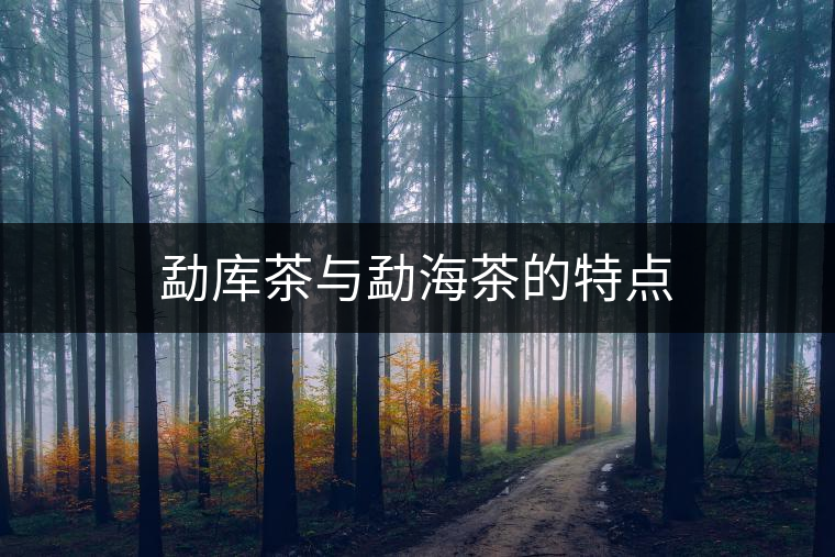 勐庫茶與勐海茶的特點 勐庫茶與勐海茶的特點