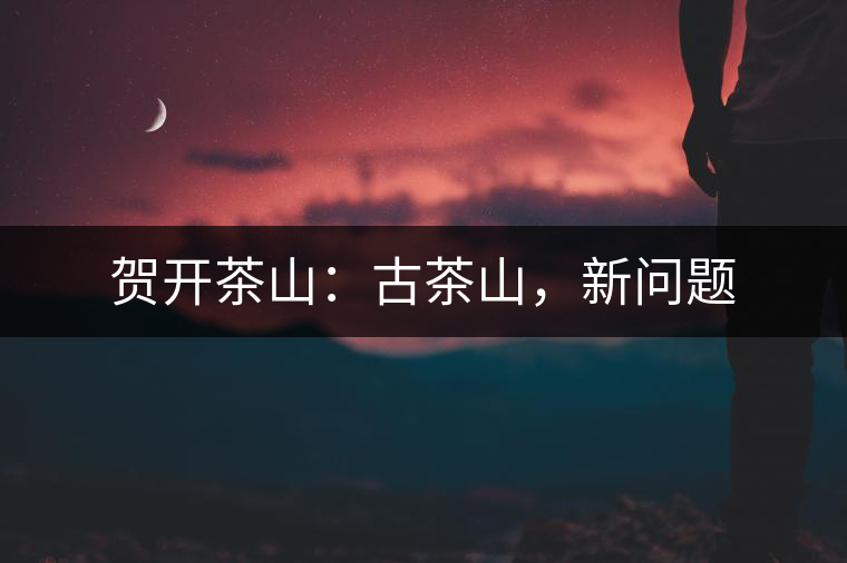 賀開茶山:古茶山,新問題 賀開茶山:古茶山,新問題