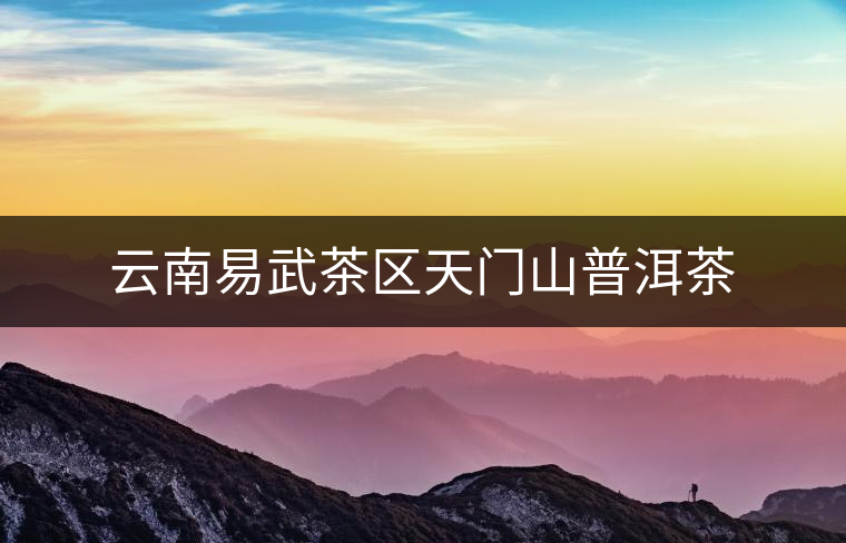 云南易武茶區天門山普洱茶