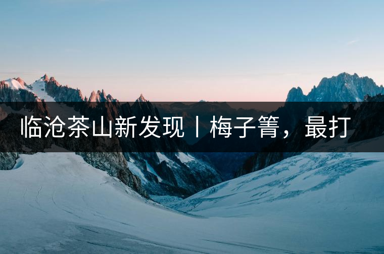 臨滄茶山新發現丨梅子箐，最打動自己的茶山