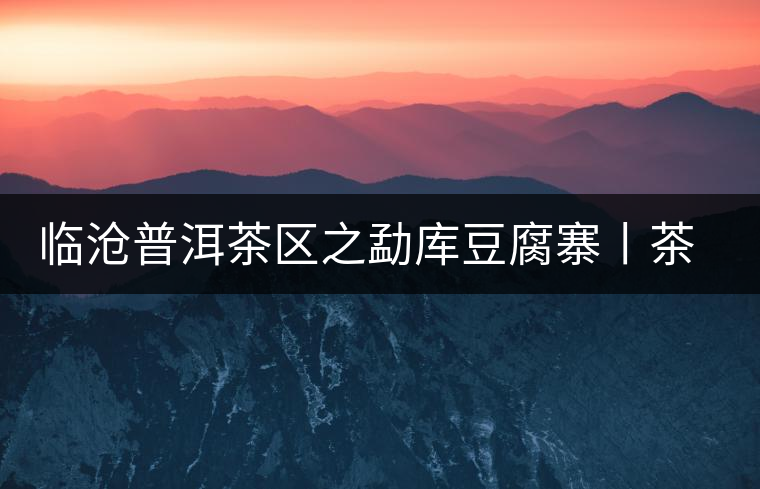 臨滄普洱茶區之勐庫豆腐寨丨茶山