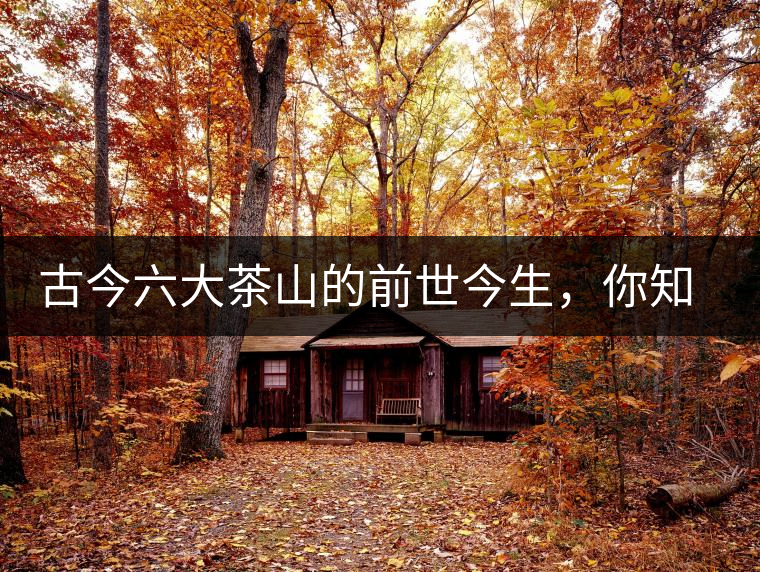 古今六大茶山的前世今生，你知多少？