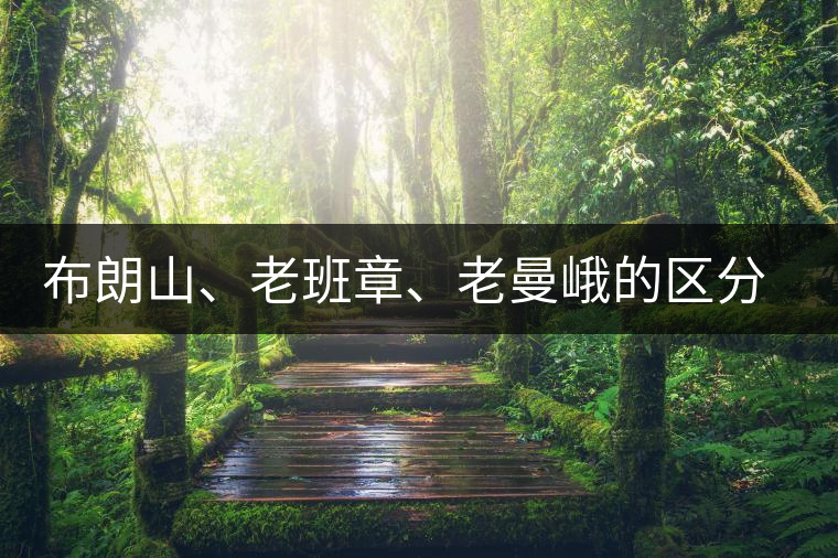 布朗山、老班章、老曼峨的區(qū)分和鑒別 布朗山、老班章、老曼峨的區(qū)分和鑒別