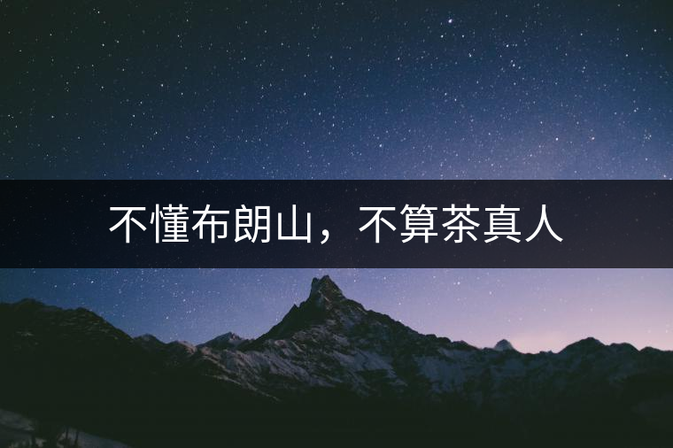 不懂布朗山,不算茶真人 不懂布朗山,不算茶真人