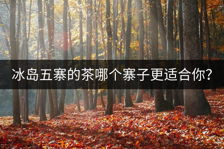 冰島五寨的茶哪個寨子更適合你? 冰島五寨的茶哪個寨子更適合你?