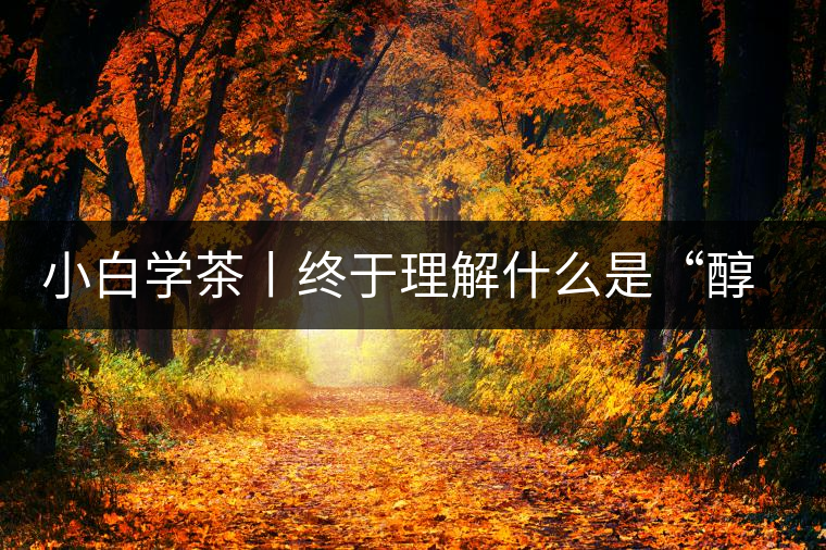 小白學(xué)茶丨終于理解什么是“醇厚、耐泡，回甘”了