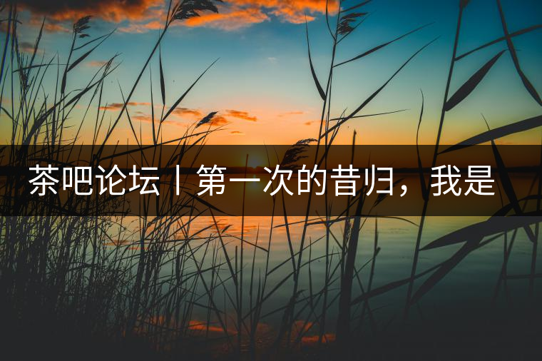 茶吧論壇丨第一次的昔歸,我是這樣喝到的 茶吧論壇丨第一次的昔歸,我是這樣喝到的