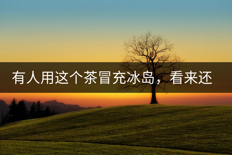 有人用這個(gè)茶冒充冰島，看來還是有幾分道理
