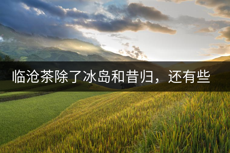 臨滄茶除了冰島和昔歸,還有些什么? 臨滄茶除了冰島和昔歸,還有些什么?