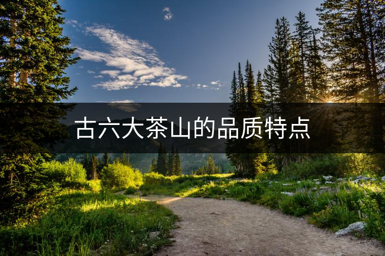 古六大茶山的品質特點 古六大茶山的品質特點