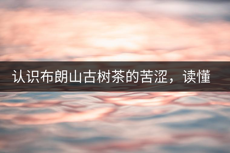 認識布朗山古樹茶的苦澀，讀懂勐海普洱茶