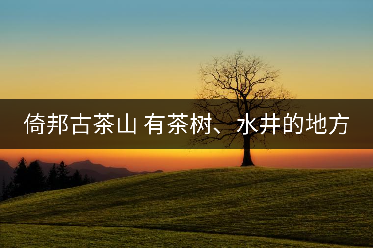 倚邦古茶山 有茶樹(shù)、水井的地方