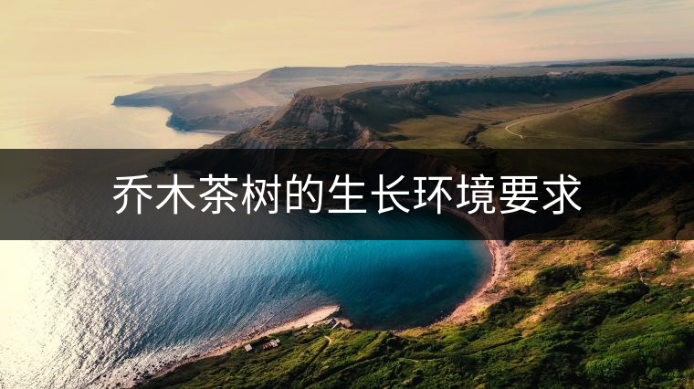 喬木茶樹的生長環境要求 喬木茶樹的生長環境要求